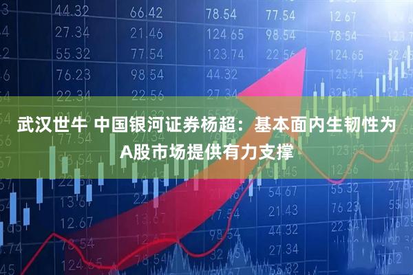 武汉世牛 中国银河证券杨超：基本面内生韧性为A股市场提供有力支撑