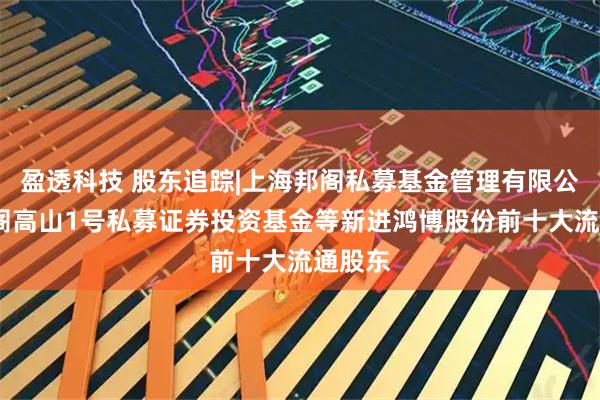 盈透科技 股东追踪|上海邦阁私募基金管理有限公司-邦阁高山1号私募证券投资基金等新进鸿博股份前十大流通股东