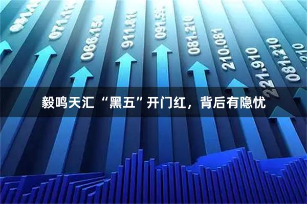 毅鸣天汇 “黑五”开门红，背后有隐忧