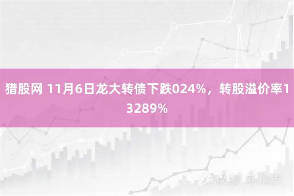 猎股网 11月6日龙大转债下跌024%，转股溢价率13289%