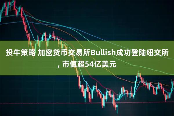 投牛策略 加密货币交易所Bullish成功登陆纽交所, 市值超54亿美元