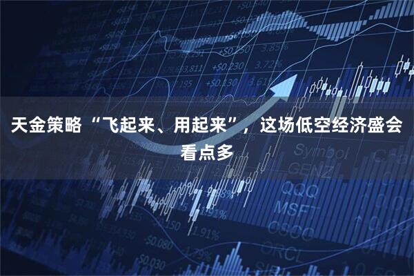 天金策略 “飞起来、用起来”，这场低空经济盛会看点多